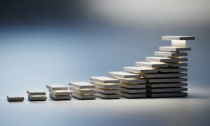 What is a credit score?